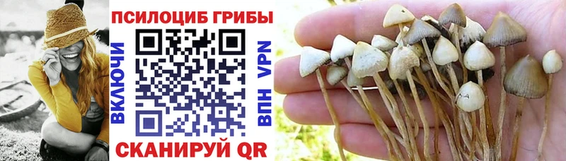 Купить закладки  Козловка  Галлюциногенные грибы Magic Shrooms 